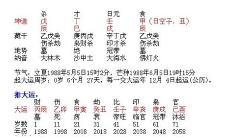 丙火2024|丙火2024年流年运势如何